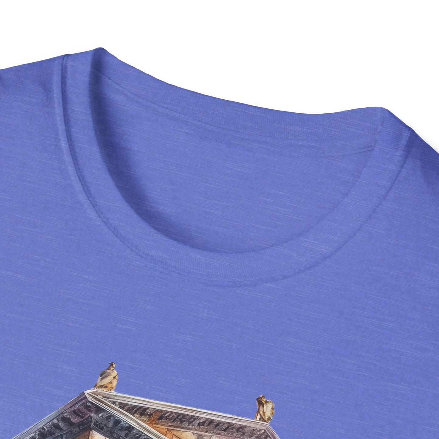 Ancient Bldg 2 - Unisex Softstyle T-Shirt