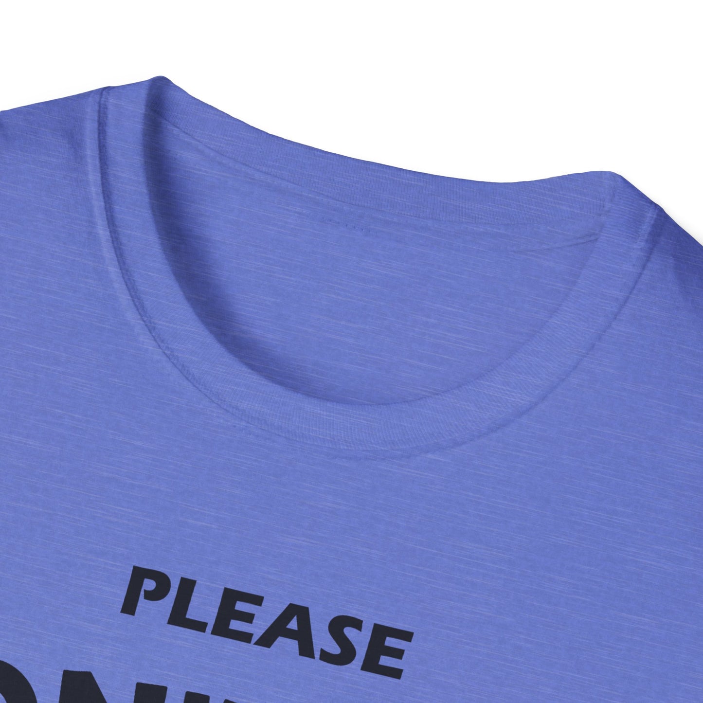 Please Don't Kill My Paladin - Black - Unisex Softstyle T-Shirt