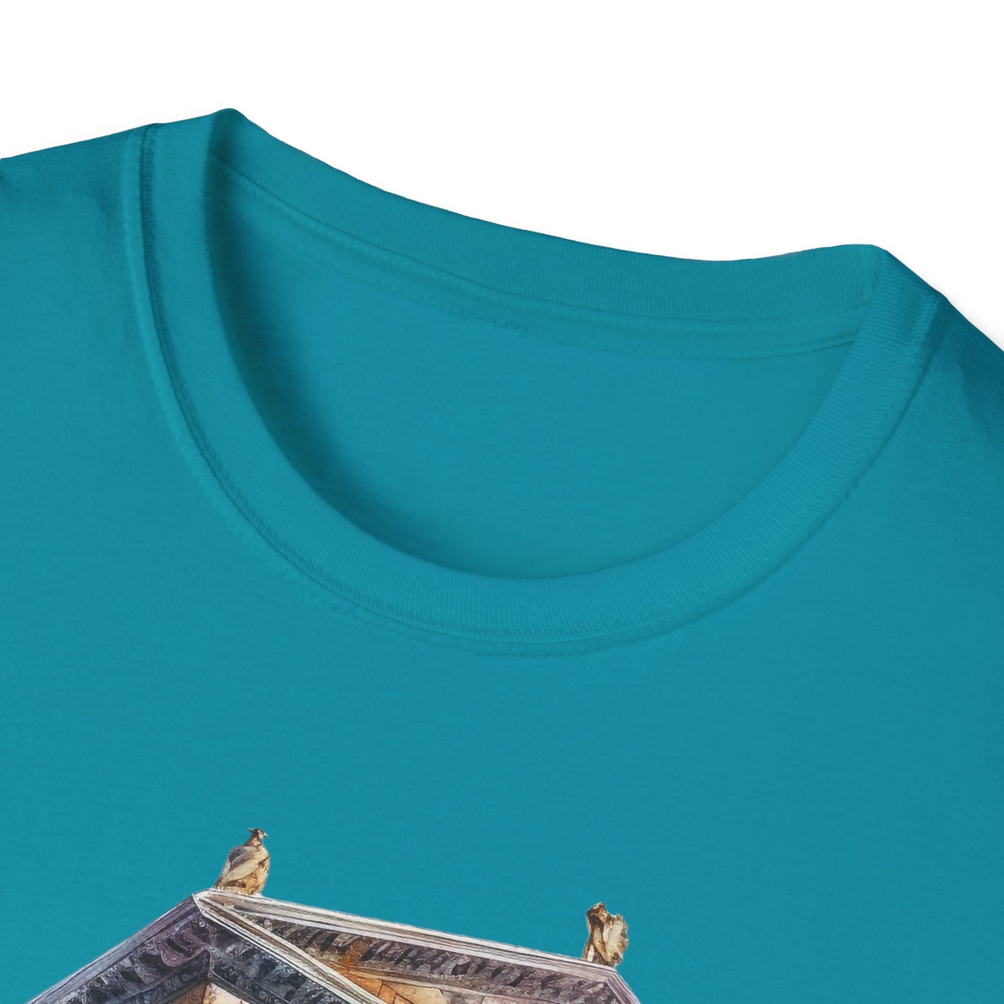 Ancient Bldg 2 - Unisex Softstyle T-Shirt